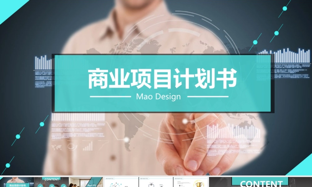 [超BIG高端大气]商业投资计划书.ppt