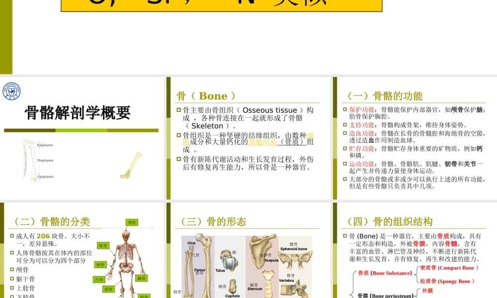 2. 人体生理学相关知识 .ppt