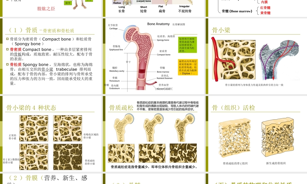 2. 人体生理学相关知识 .ppt