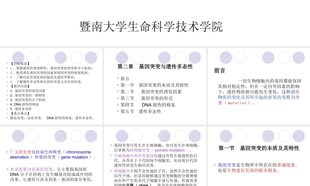 2章 基因突变与遗传多态性.ppt