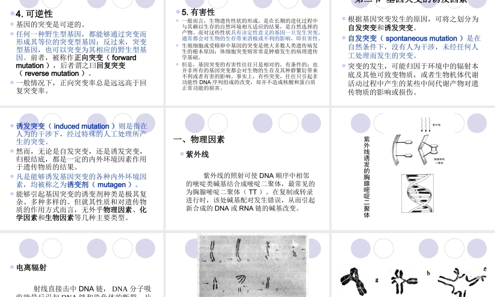 2章 基因突变与遗传多态性.ppt