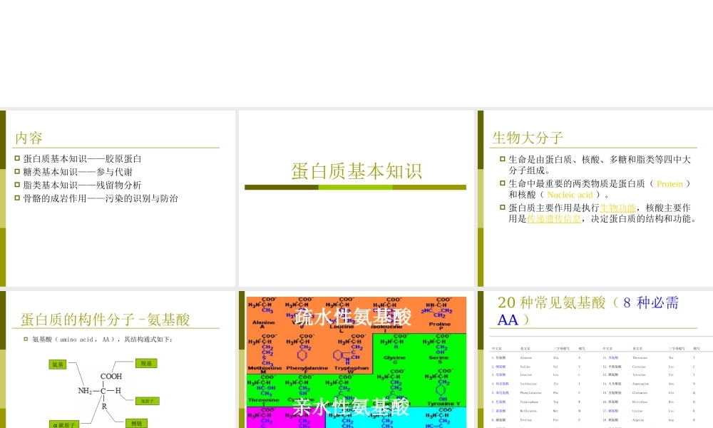3. 生物化学基础知识.ppt