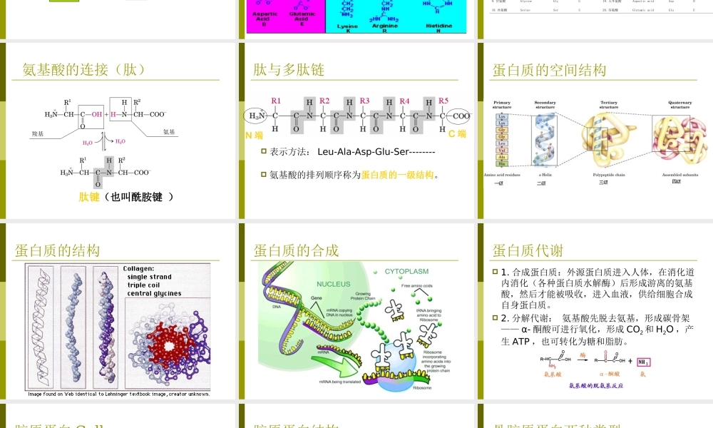3. 生物化学基础知识.ppt
