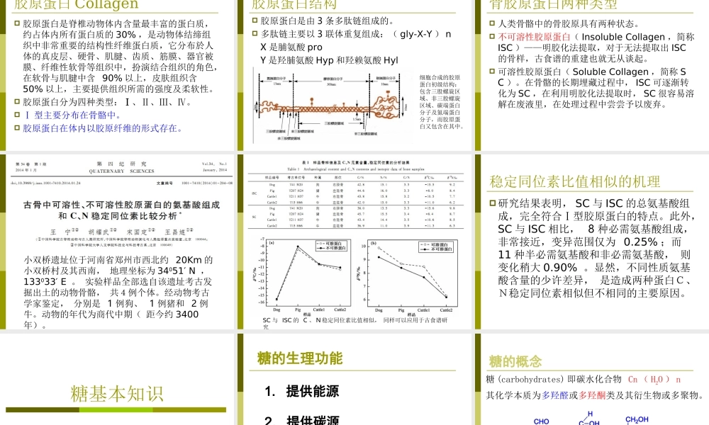 3. 生物化学基础知识.ppt