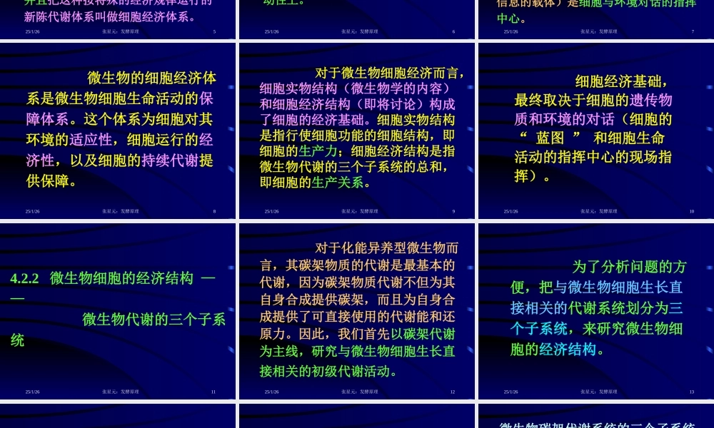 4.第四章 发酵学第三假说（2）.ppt