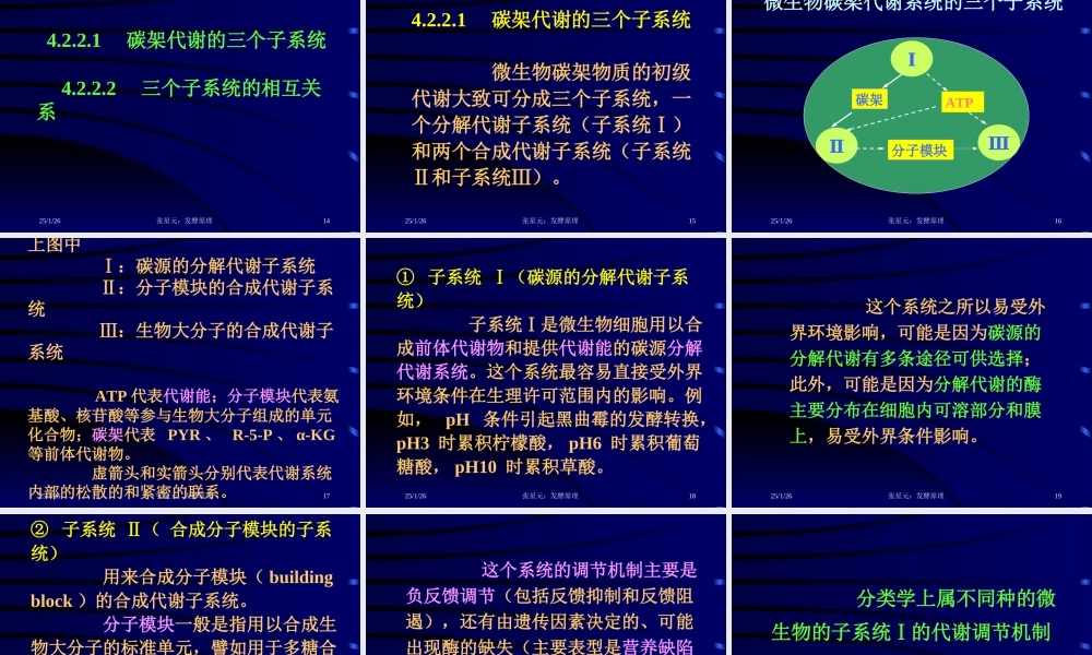 4.第四章 发酵学第三假说（2）.ppt