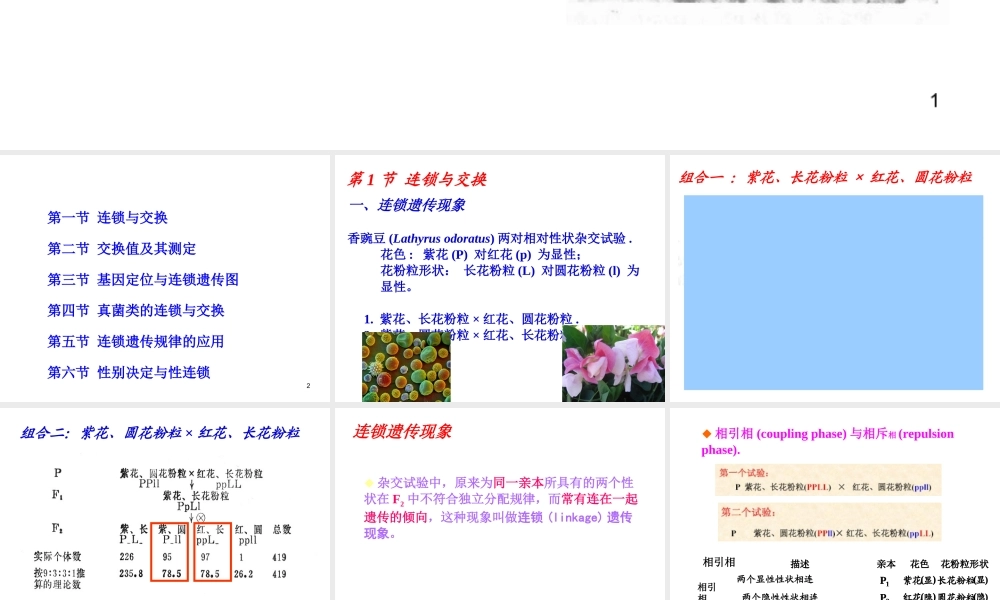 4-1 2015第四章连锁Genetics(1).ppt