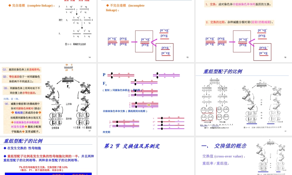 4-1 2015第四章连锁Genetics(1).ppt