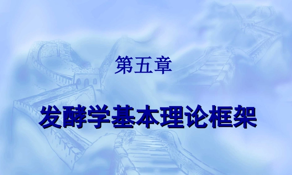 5.第五章 发酵学基本理论框架.ppt