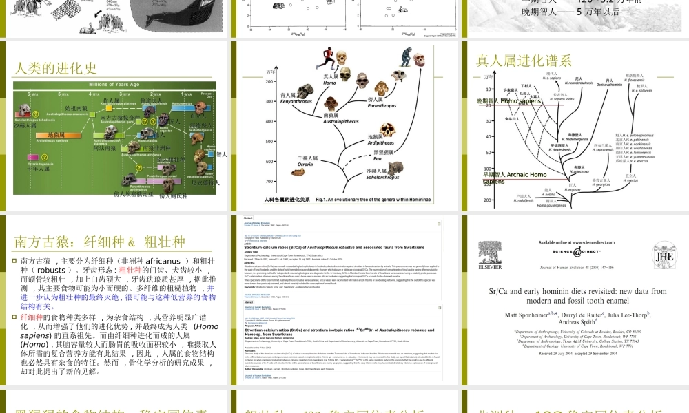 8. 古人类食物结构演化研究.ppt