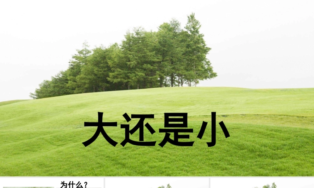 10.大还是小（精品）.pptx