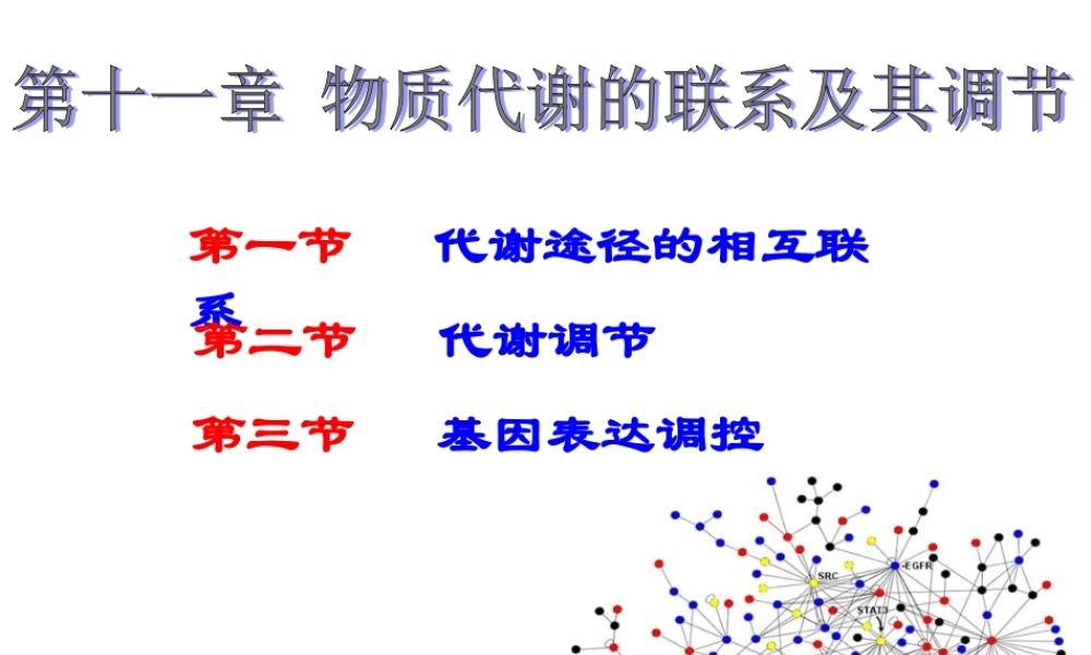 11 物质代谢的联系与调节.ppt