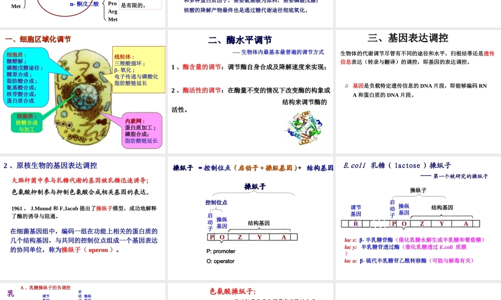 11 物质代谢的联系与调节.ppt