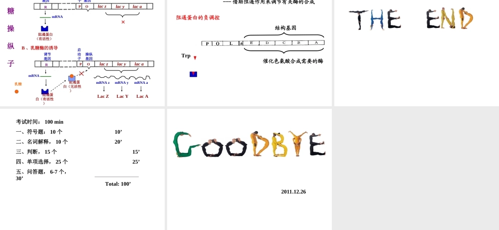 11 物质代谢的联系与调节.ppt