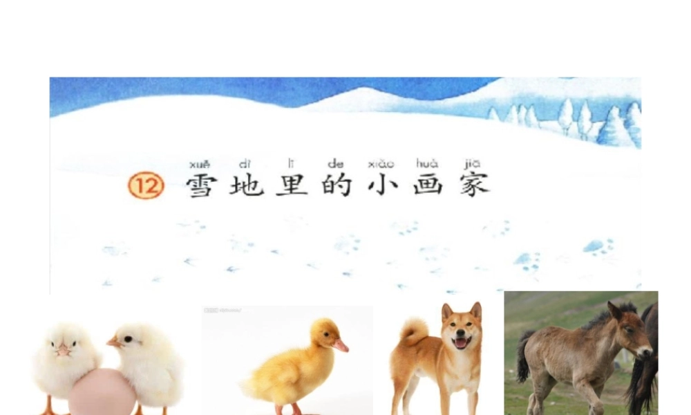 12.雪地里的小画家（精品）(1).pptx