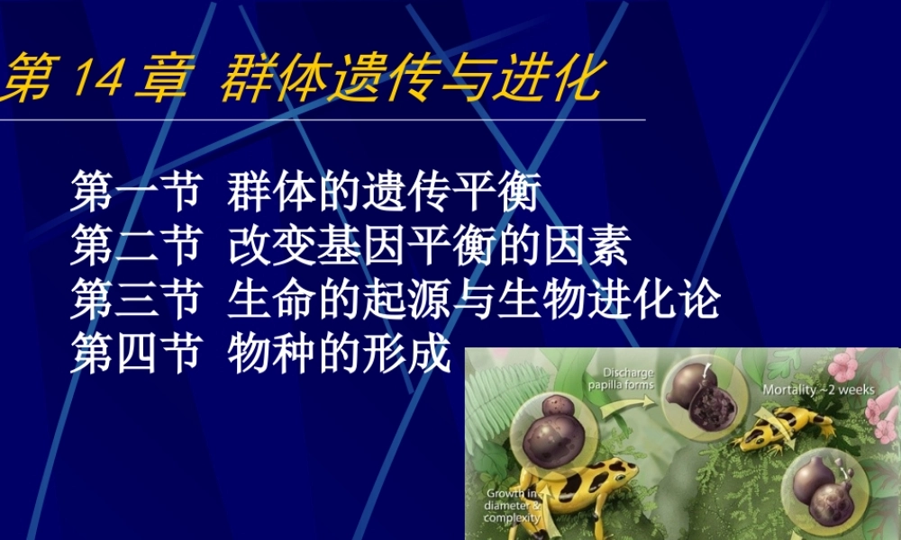 16.刘第十六章 群体遗传与进化nmys.ppt