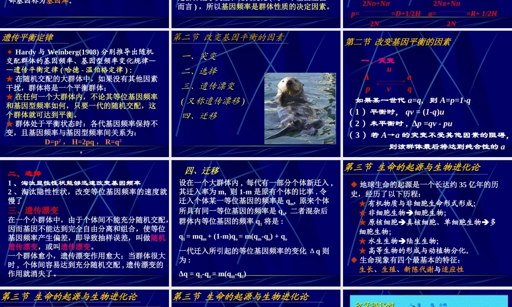 16.刘第十六章 群体遗传与进化nmys.ppt