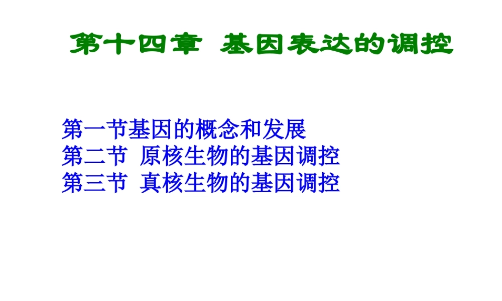 14.第十四章缩略 基因表达的调控刘庆昌简要.ppt