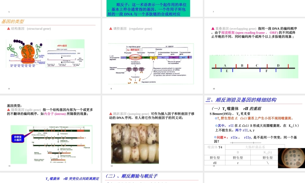 14.第十四章缩略 基因表达的调控刘庆昌简要.ppt