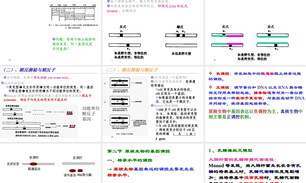 14.第十四章缩略 基因表达的调控刘庆昌简要.ppt
