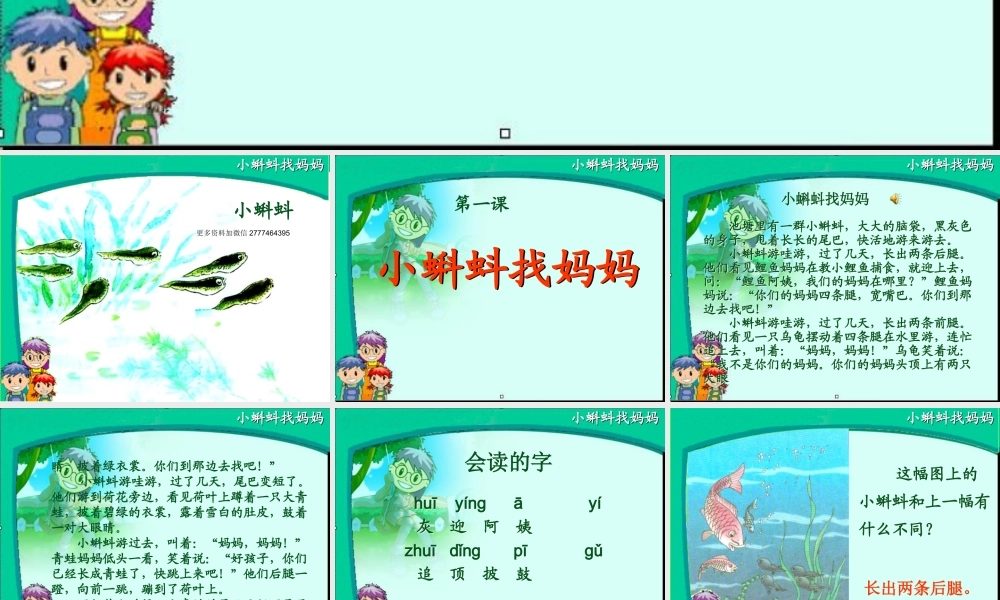 2017部编人教语文二年级上册《小蝌蚪找妈妈》课件PPT2.ppt