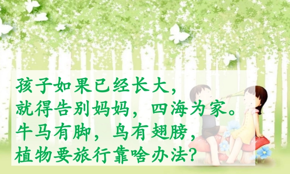 2017部编人教语文二年级上册3《植物妈妈有办法》ppt课件1.pptx