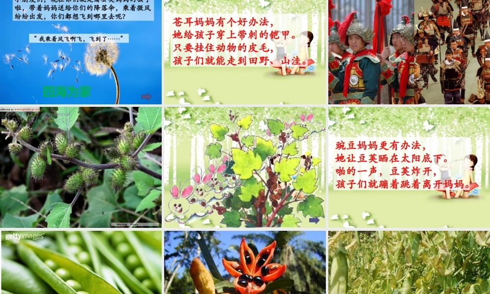2017部编人教语文二年级上册3《植物妈妈有办法》ppt课件1.pptx