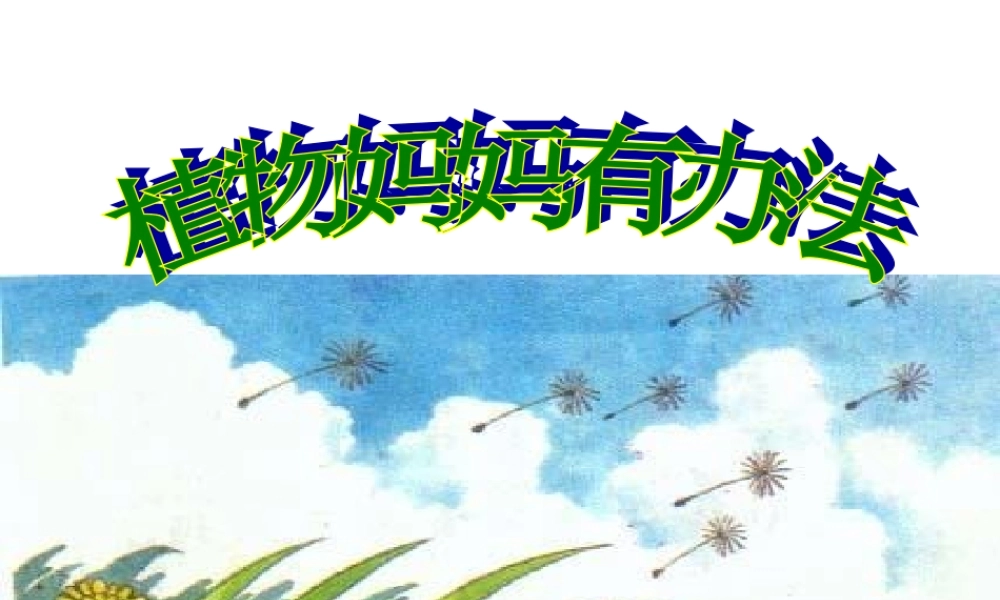 2017部编人教语文二年级上册3《植物妈妈有办法》ppt课件2.ppt