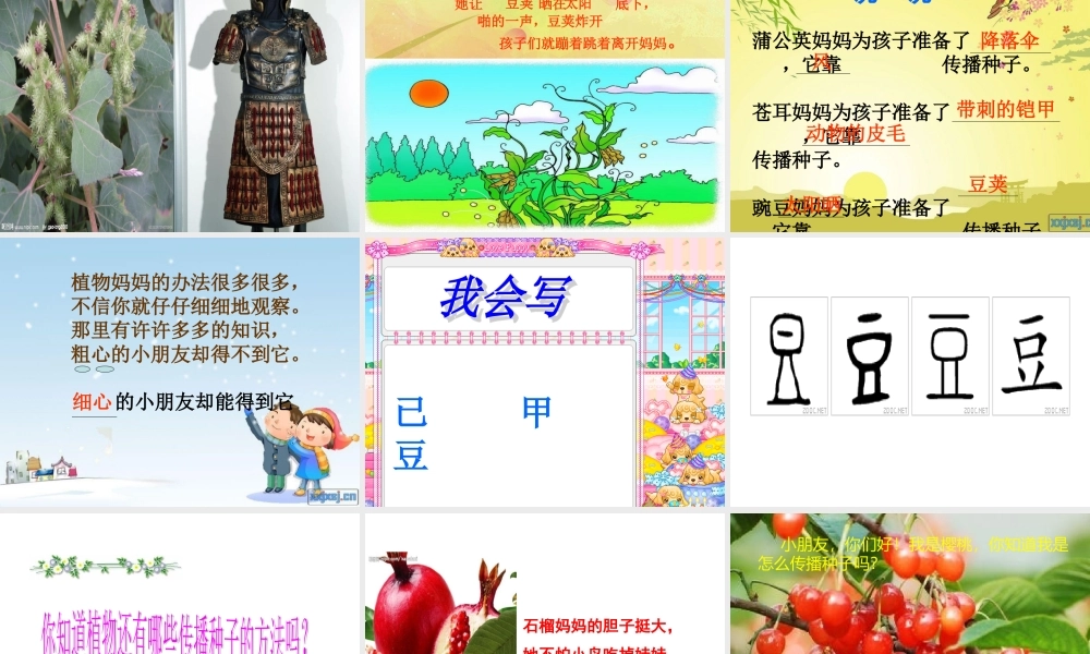 2017部编人教语文二年级上册3《植物妈妈有办法》ppt课件2.ppt