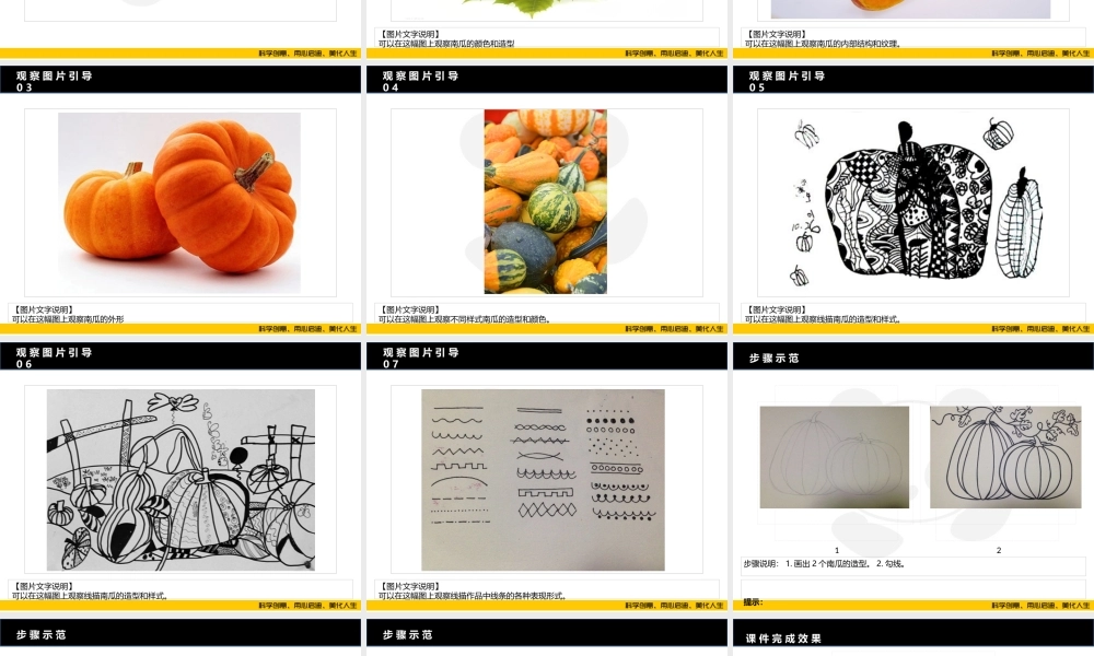 ART4《这个南瓜很复杂》校对版.PPT