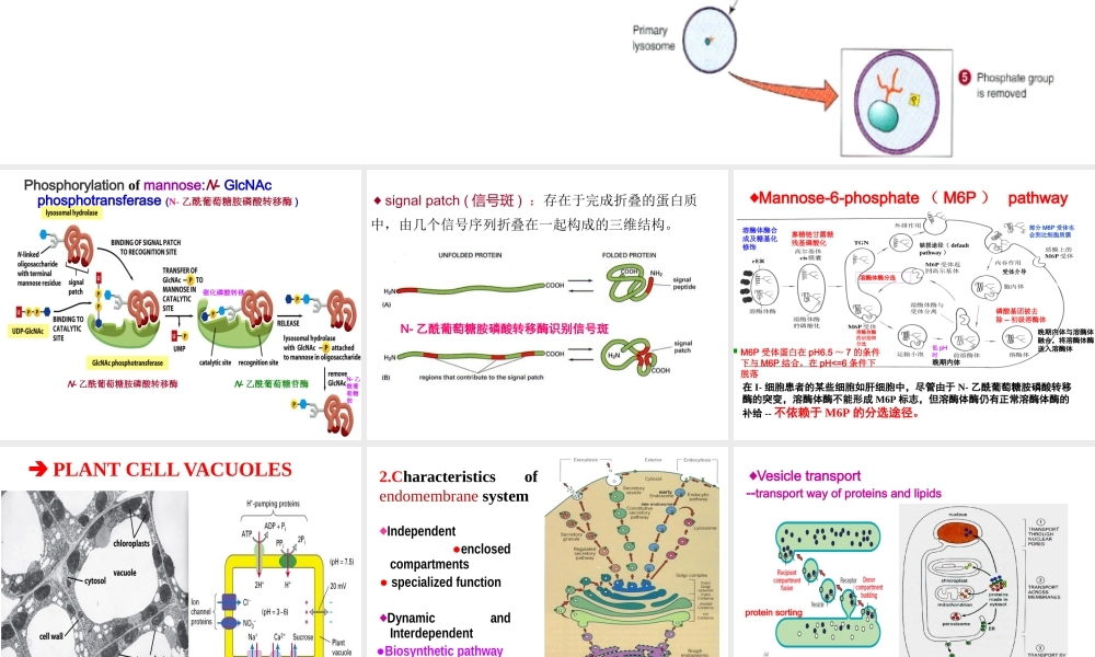 Chapter 5. Endomembrane System or Intracellular compartment-2017-3s (1)(1).pptx