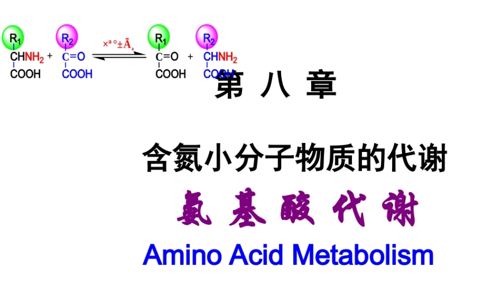 Chapter 8 含氮小分子物质的代谢.ppt