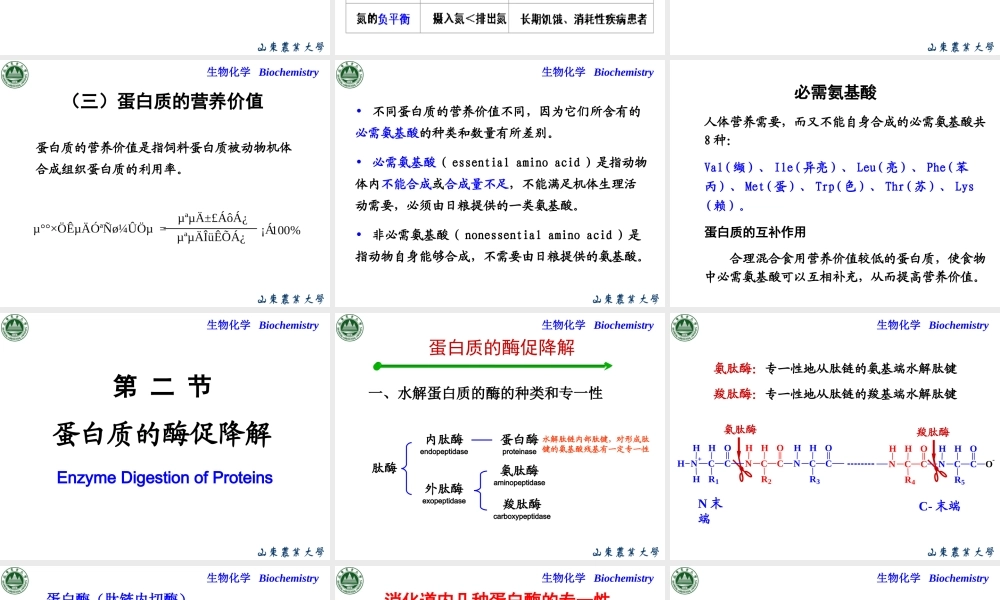 Chapter 8 含氮小分子物质的代谢.ppt