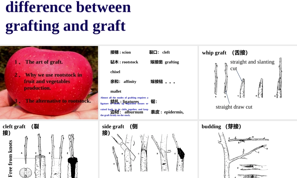 lesson7专业英语课件 第二周_2014_1.pptx