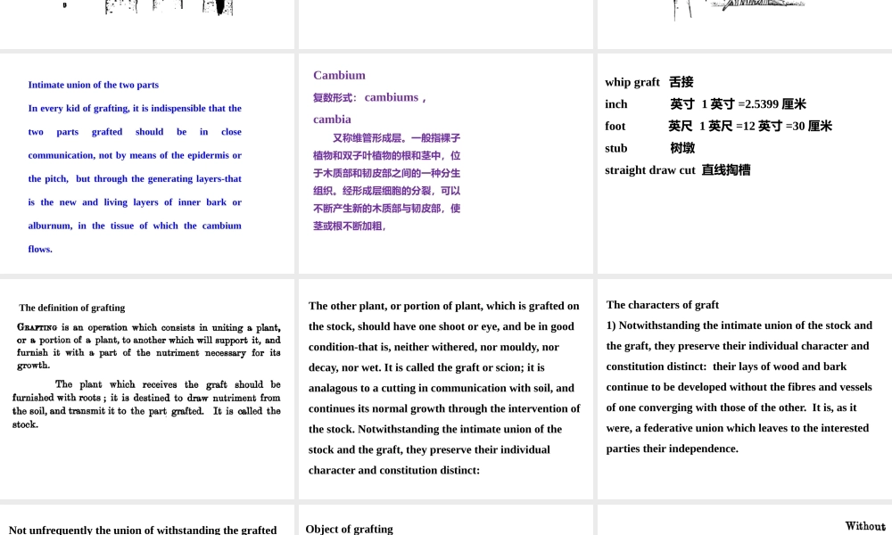 lesson7专业英语课件 第二周_2014_1.pptx