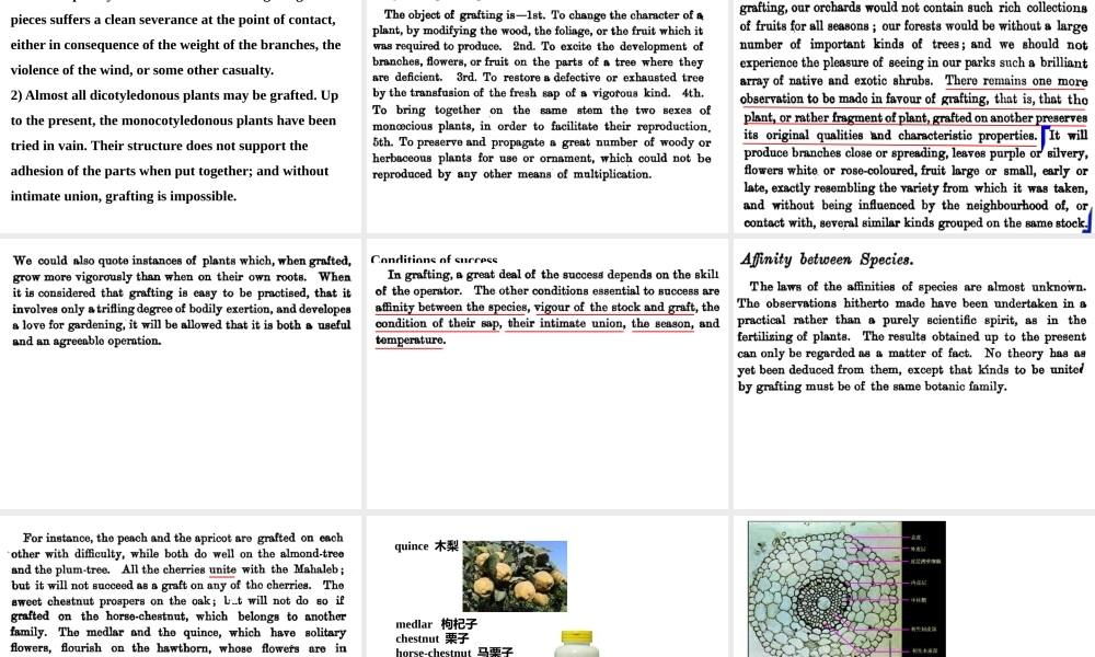 lesson7专业英语课件 第二周_2014_1.pptx