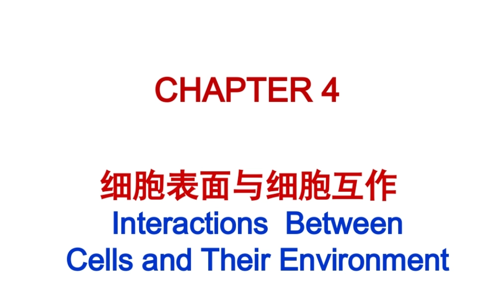 ru-第4章 细胞环境与互作 20171009(1).ppt