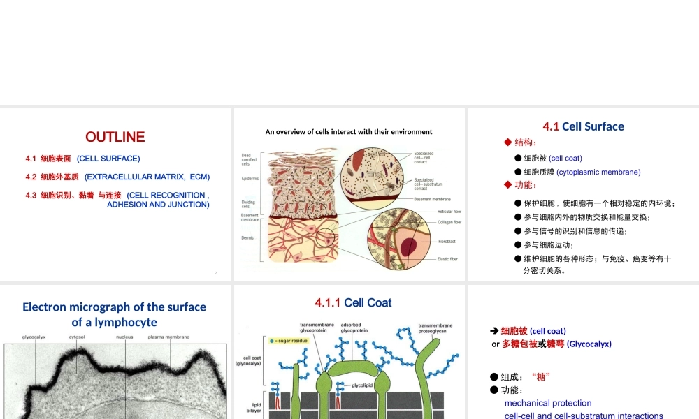 ru-第4章 细胞环境与互作 20171009(1).ppt