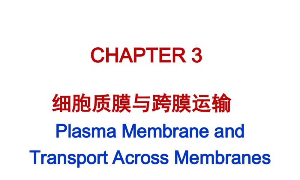 ru-第3章 细胞膜与跨膜运输 20170925(1).ppt