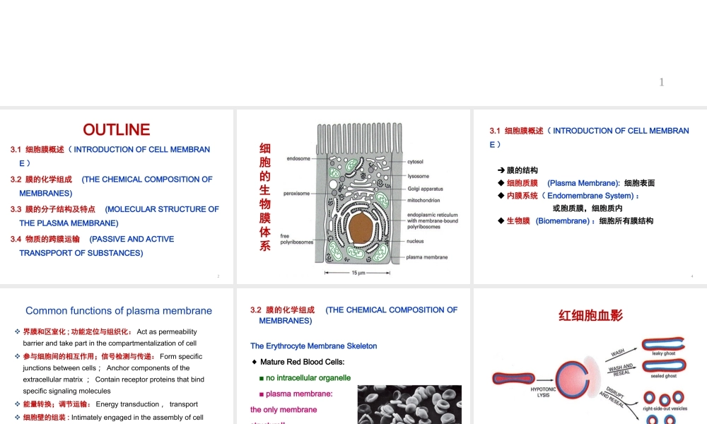ru-第3章 细胞膜与跨膜运输 20170925(1).ppt