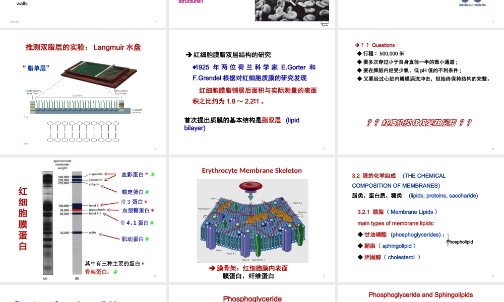 ru-第3章 细胞膜与跨膜运输 20170925(1).ppt