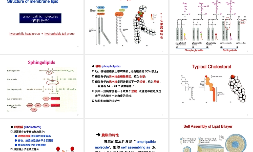 ru-第3章 细胞膜与跨膜运输 20170925(1).ppt