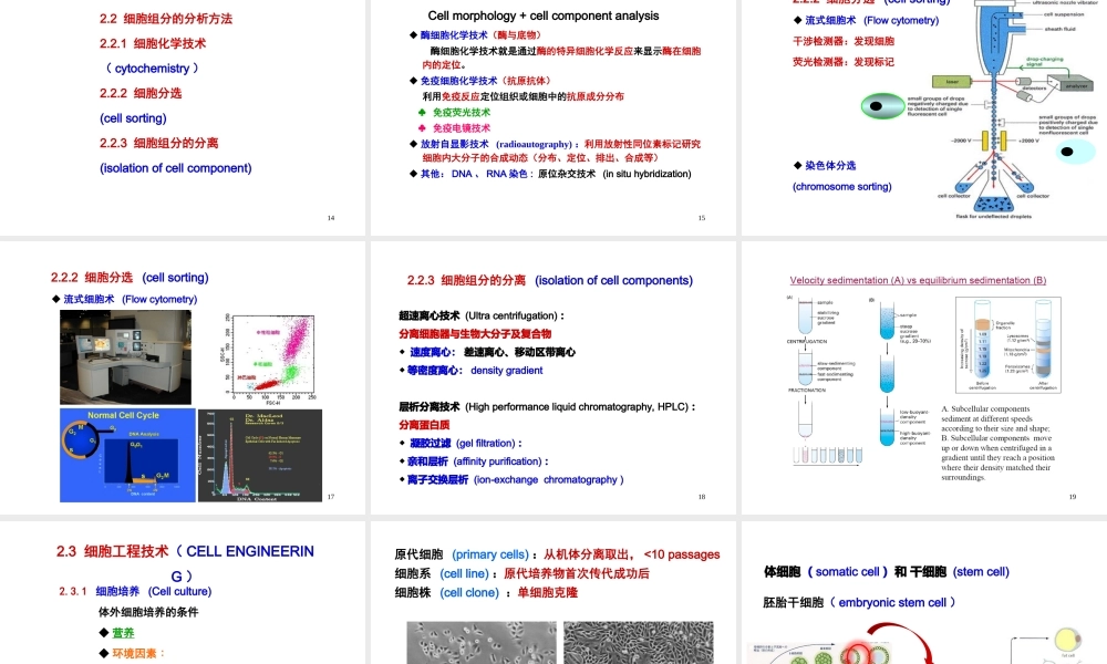 ru-第2章 细胞生物学研究方法 20170925(1).ppt