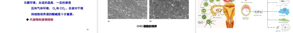 ru-第2章 细胞生物学研究方法 20170925(1).ppt