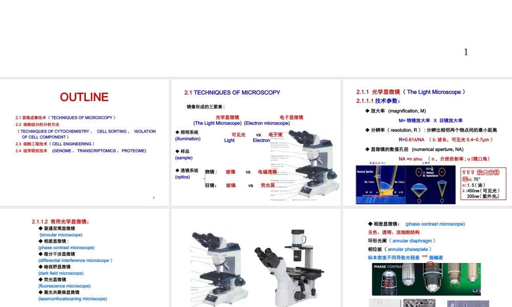 ru-第2章 细胞生物学研究方法 20170925(1)(1).ppt