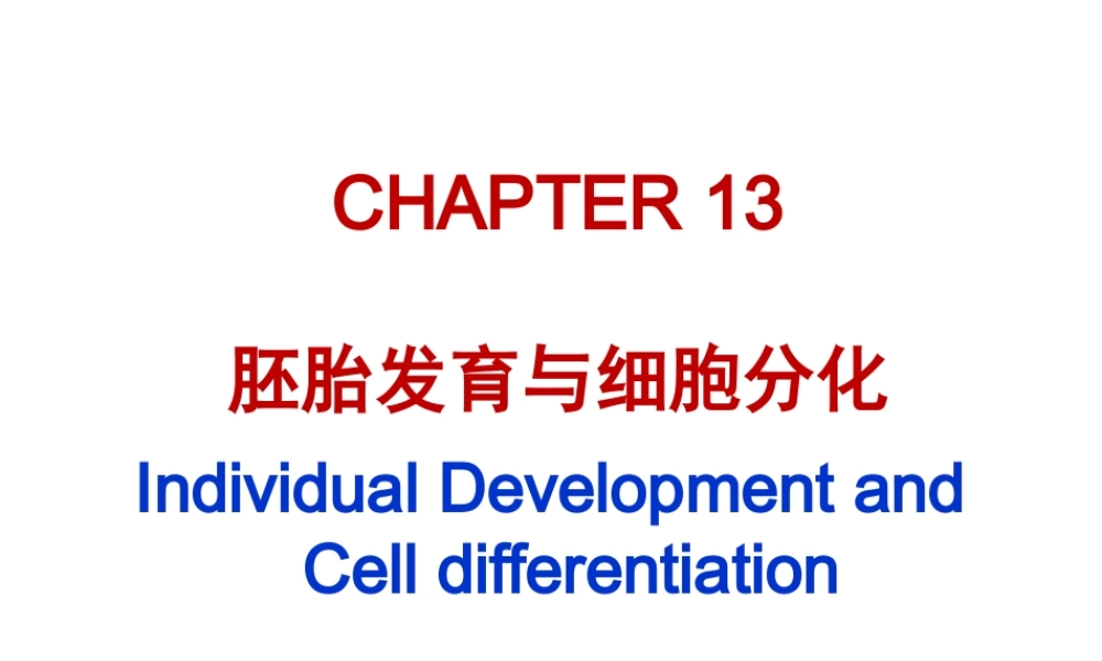ru-第13章 胚胎发育与细胞分化 20161213(1).ppt