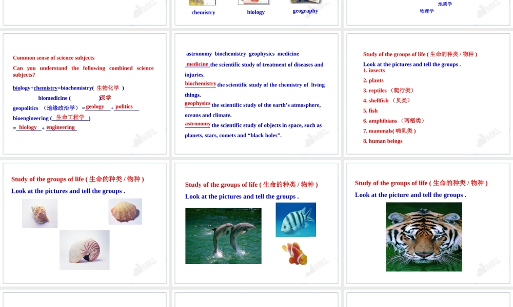 Unit 4Astronomy：the science of the stars Warming Up& Reading (I) .ppt