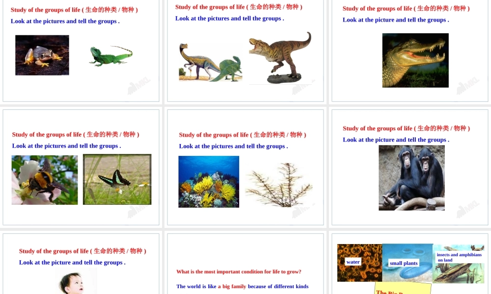 Unit 4Astronomy：the science of the stars Warming Up& Reading (I) .ppt