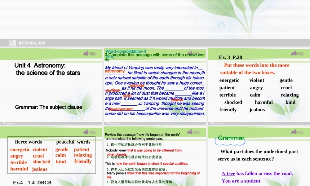 必修三 4.2《Unit 4 grammar2》.ppt