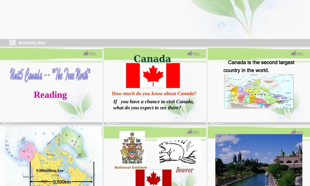 必修三 5.1《Unit 5 Canada-The true north》课件（新课标人教版－必修3）.ppt